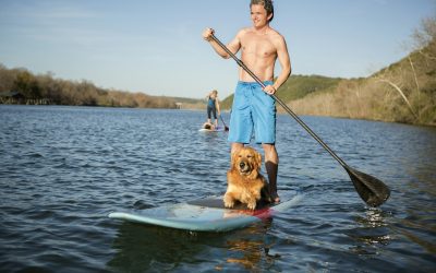 Beyond the Walk: Inventive Outdoor Adventures with Your Furry Companion