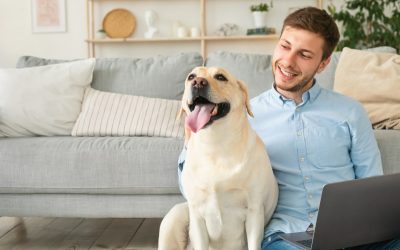 Comprehensive Strategies for Pet-Proofing Your Home